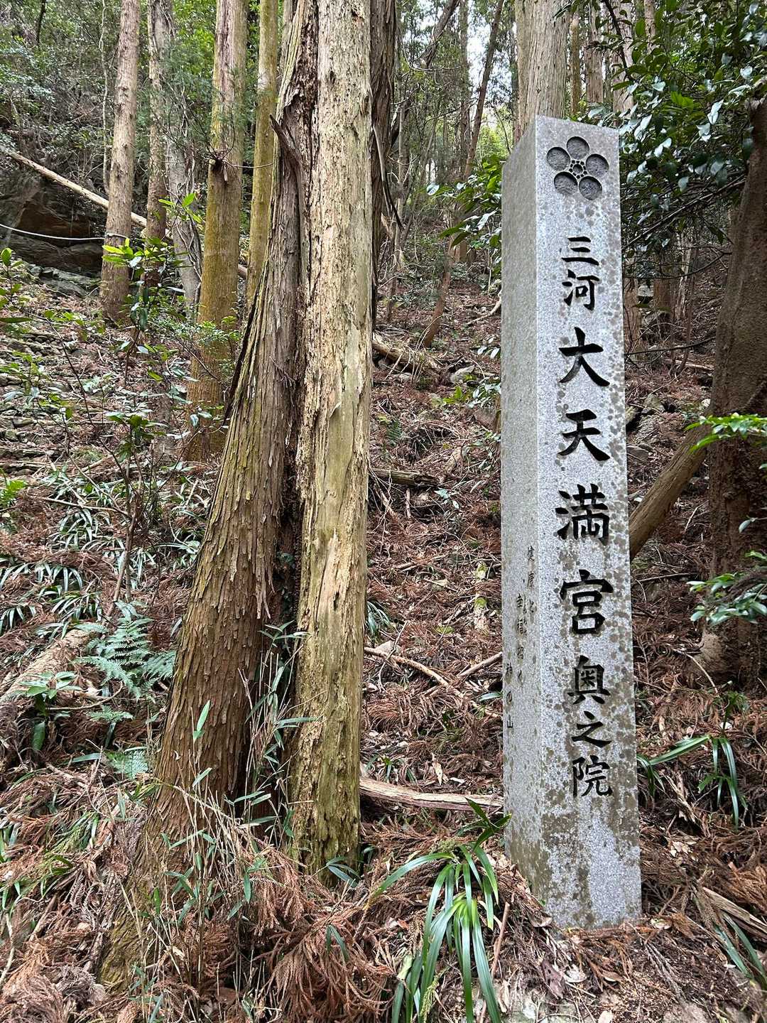 昨年下った所を今回は登ります。