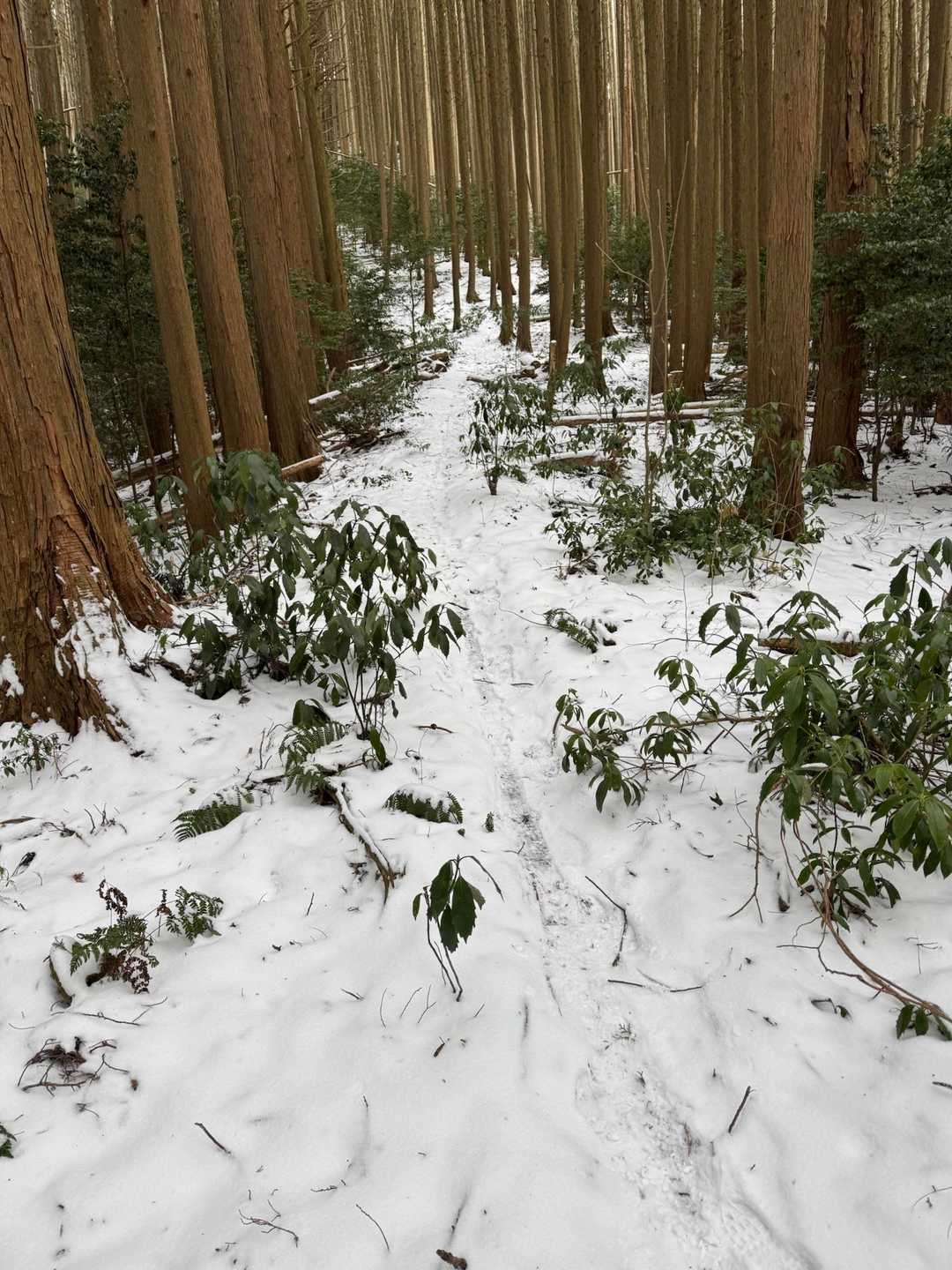 看板を左　ここから雪道