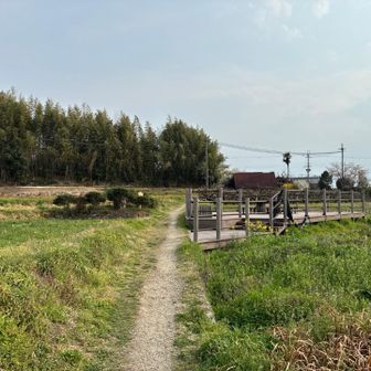 休めるとこがあったりします