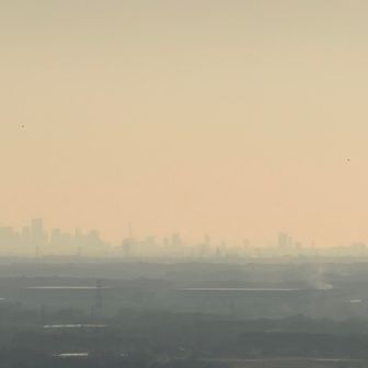 🅿️から都心が見えた👀