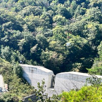 下山途中に工事のロープウェーイ
石が空中を通る🪨
見えるかな(￣▽￣) 分からないかぁー笑