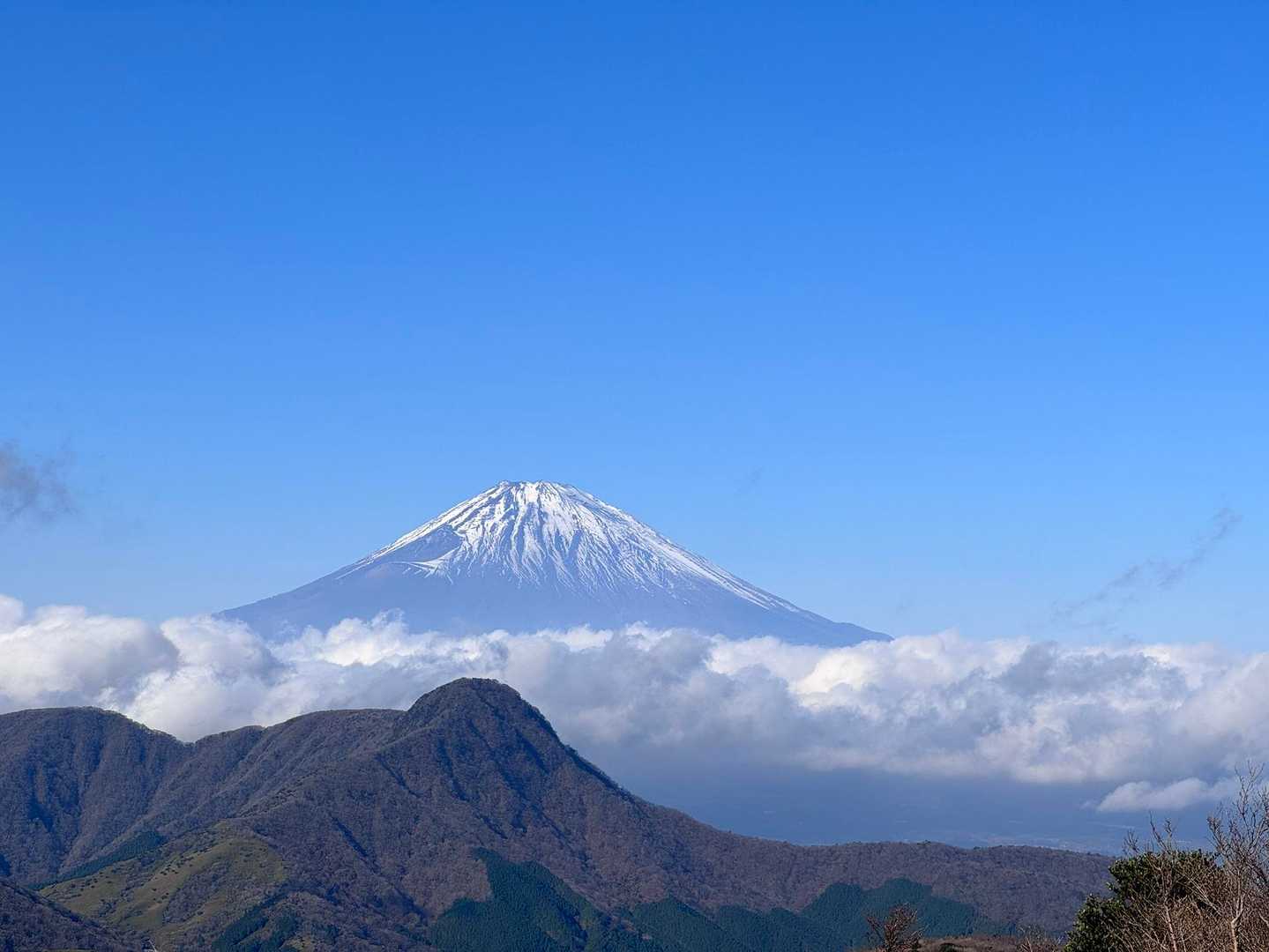 本日も何回も撮ってしまう📷
富士山&金時山