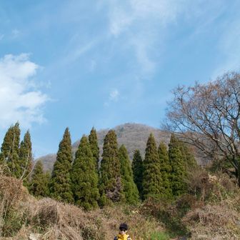 後ろに見える高崎山へ向かいます