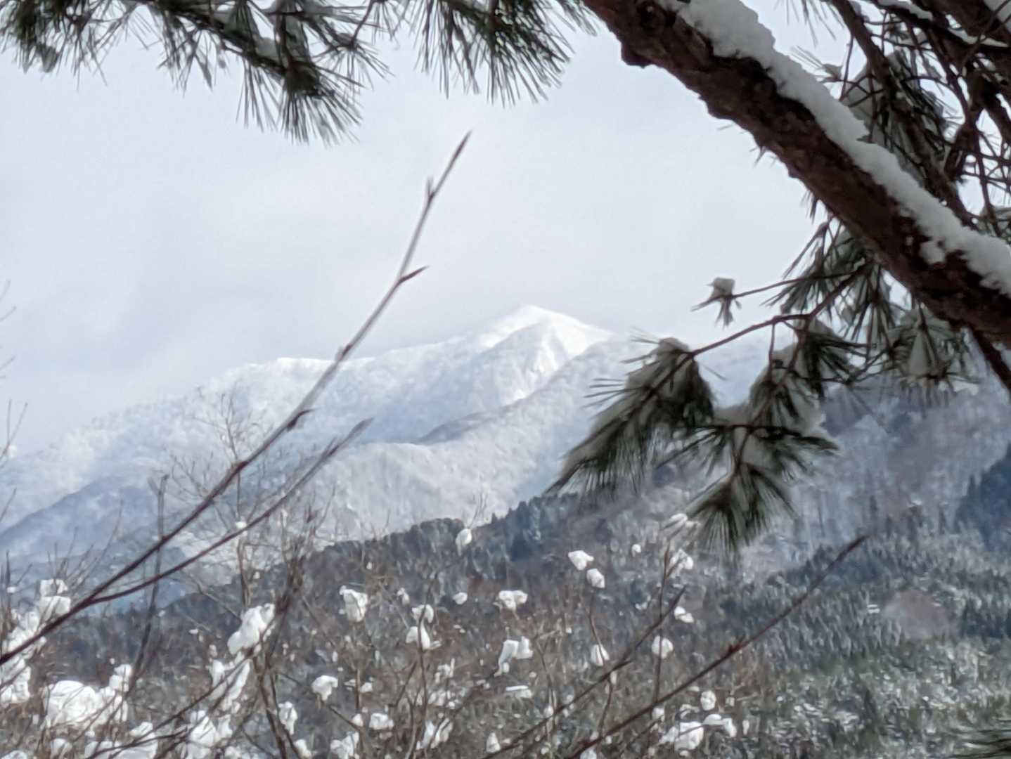 光る君🏔️✨