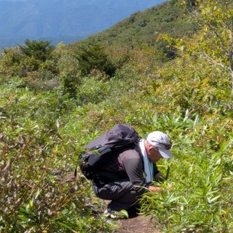 花を撮りながら山頂へ