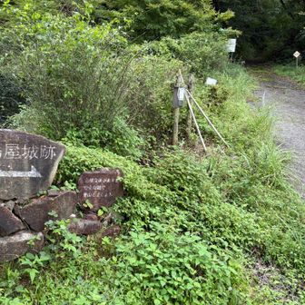 最初は舗装路、