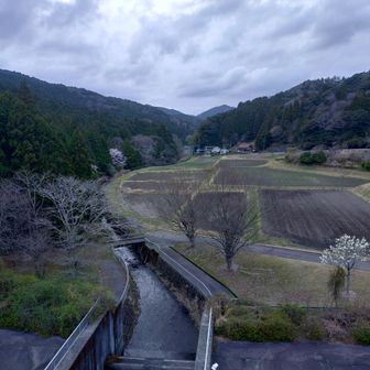 ダムからの眺めはいい〜😍
おなか空いた🤤
お疲れ様でした👍

帰り道に鹿🦌🦌と鉢合わせ
飛び出してきたのでガチブレーキ😱💪
ひかなくてよかった〜🙏