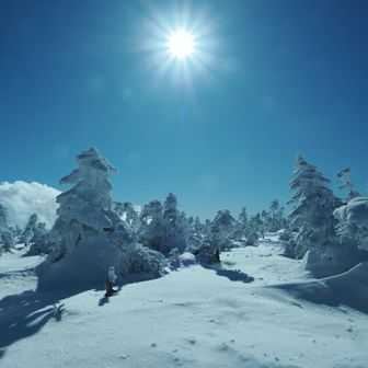 ピーカン
日差しが暖かい