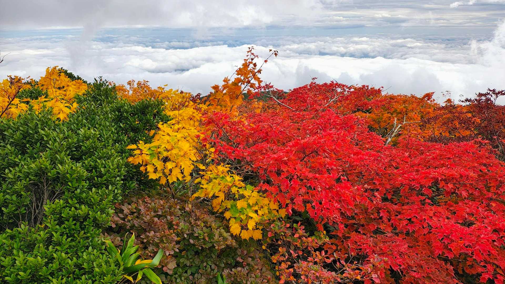 安達太良山 | 初心者も楽しめる、硫黄の香りと火口の迫力を360°のパノラマでの写真