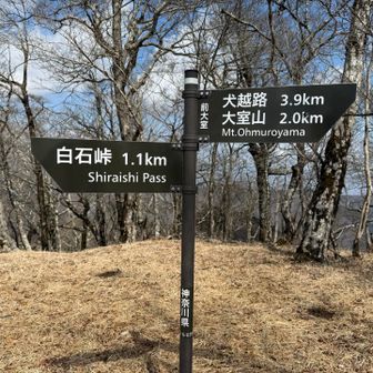 加入道山から前大室まではすぐ。