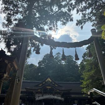れあっぷ⛰️