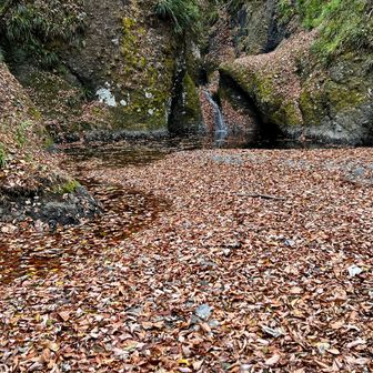 亀ヶ淵に下りて来ました。
水量が少ないから伏流となっており、沢の横断は楽でした。