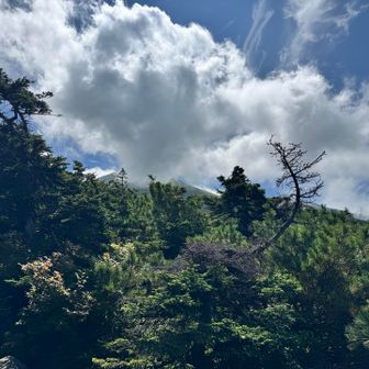 美瑛富士にも雲が湧いてきた