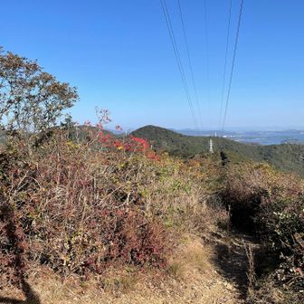もう少し空気が澄んでいたら、富士山🗻見えるとのこと
心の目👀で見ました‼️