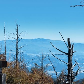 金峰山。金峰山の背後に甲武信。左の木の向こうに小川山