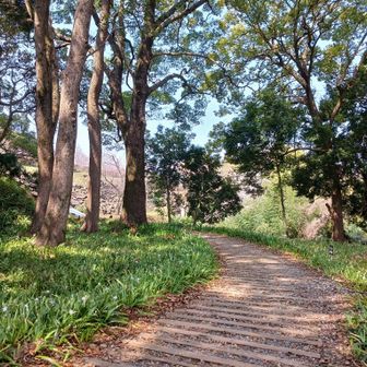 良い雰囲気です。