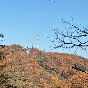 向かいに見える足羽山まで戻ります