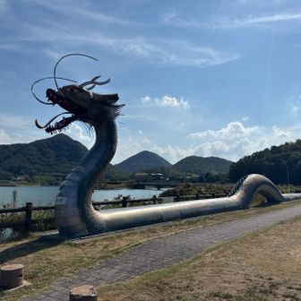 竜王丸

三郎池の竜にまつわる伝説にちなむもの。
"じゃ"の母子が三谷三郎池に棲みついており、母の身体が大きいので窮屈だった、母親は満濃池が広いと子に教えられて飛び立ったが、戻ったきた時には立派な竜になっていた。