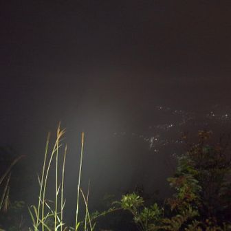 山頂周りに霧が発生してしまいました👀