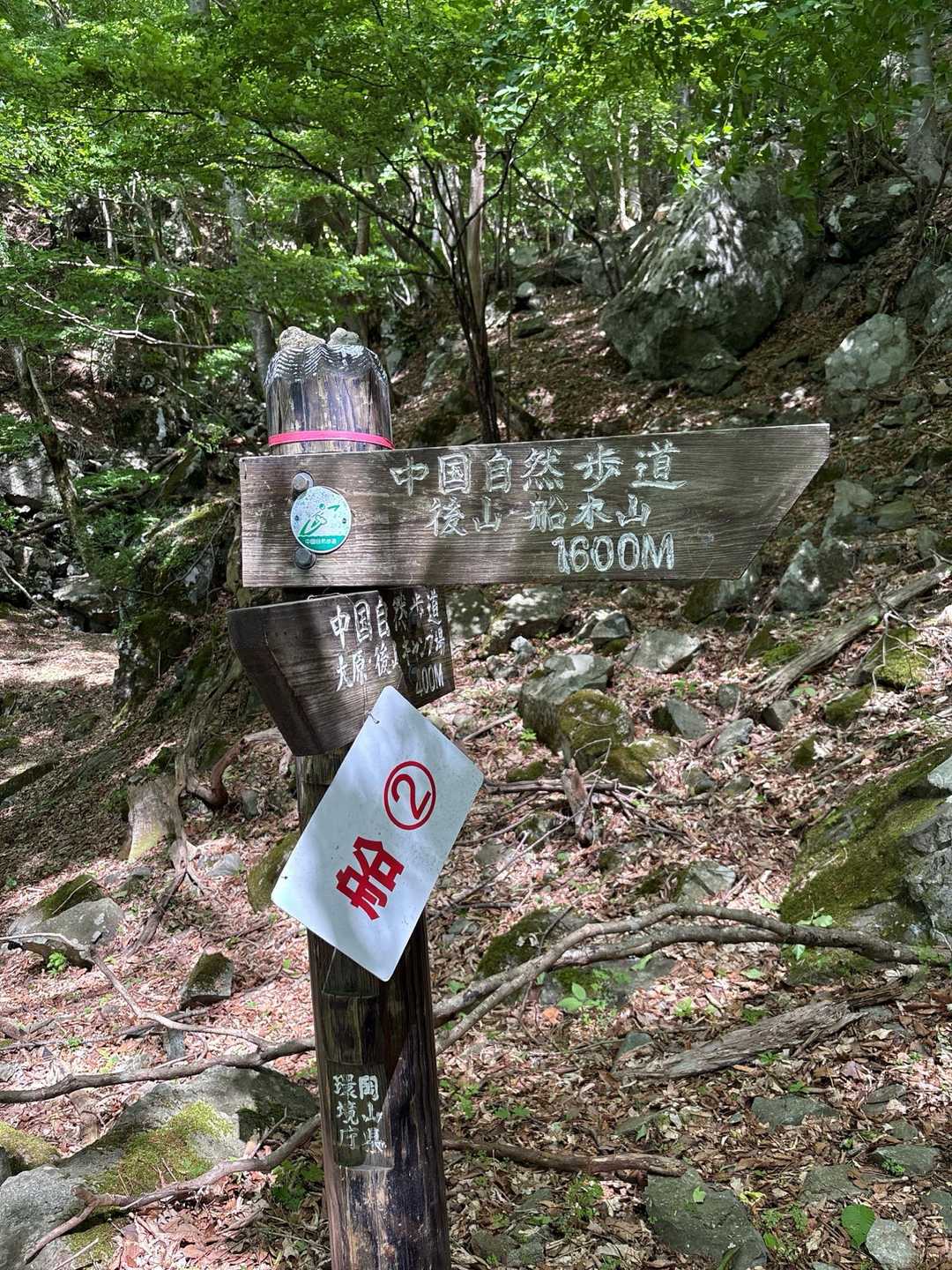 船木山登山口-船木山-後山 往復コースの写真