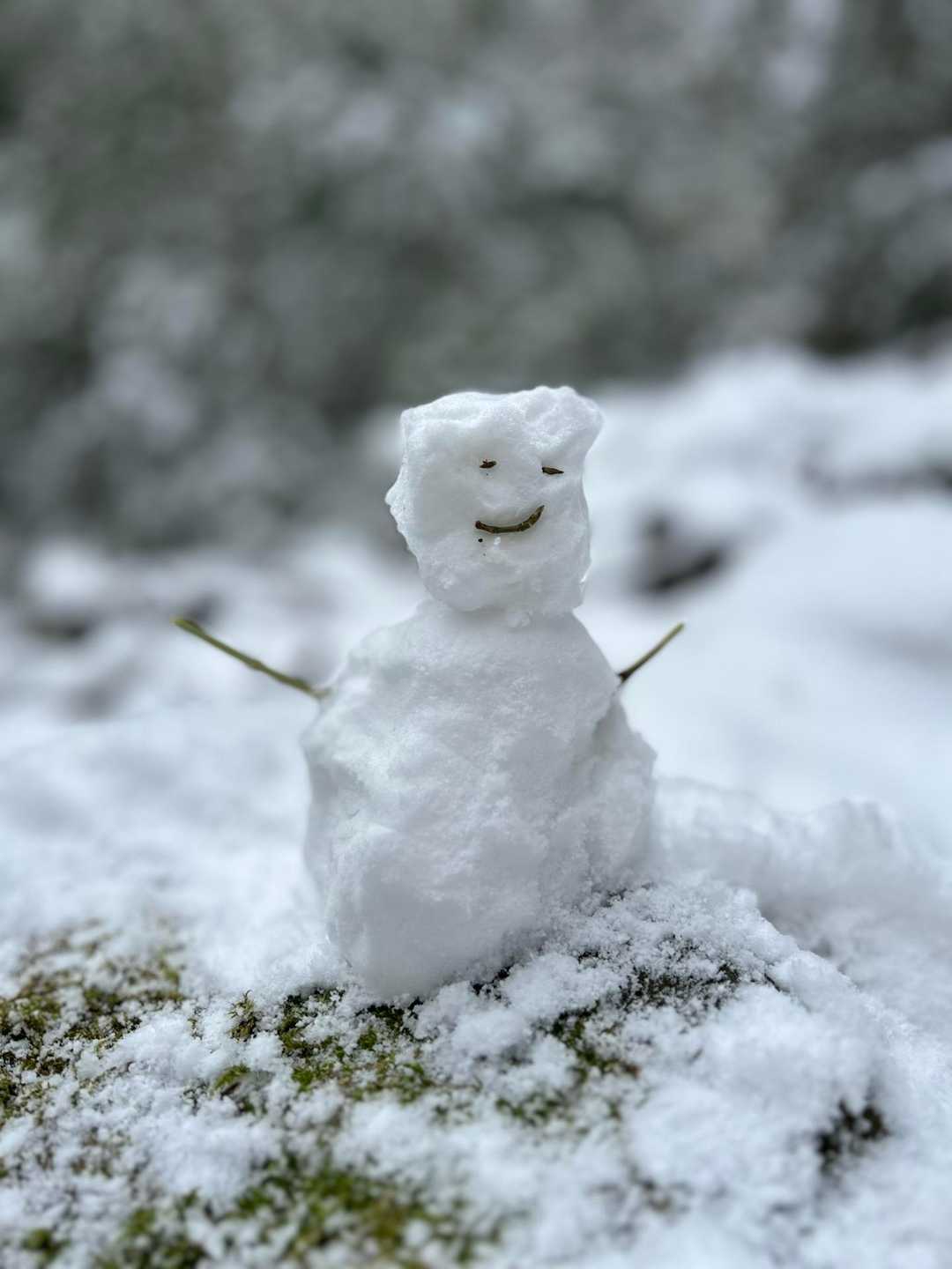 ⛄️雪だるま⛄️作ってみたよ！

ブサイクながら
可愛い🩷