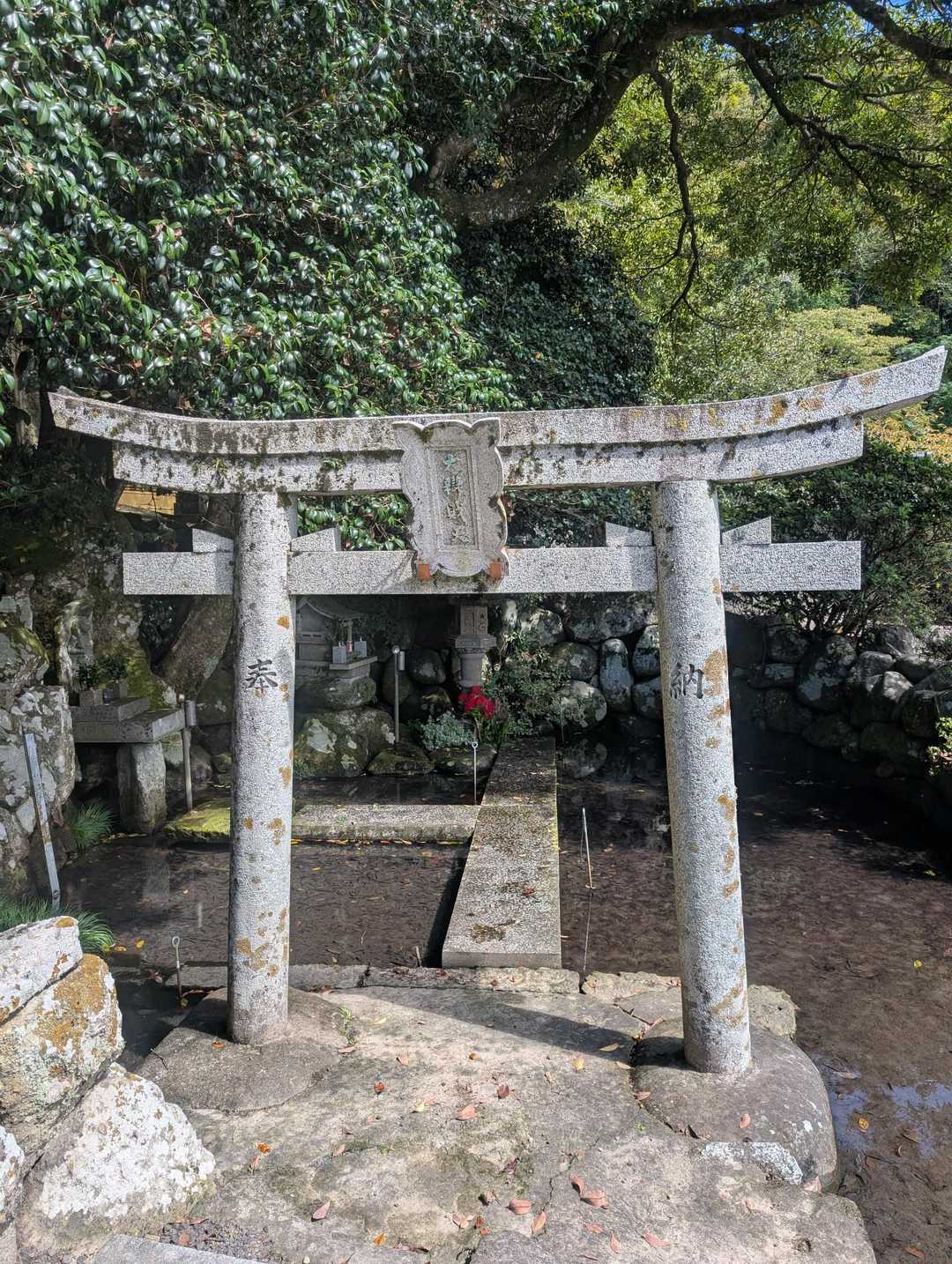 観音山 往復コースの写真