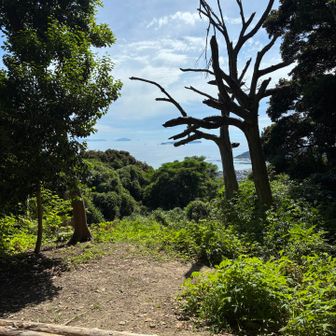 山頂からの眺め
