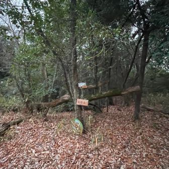 ゴールは稲荷山
でしたがもう一山！
頼む、頼む！標識プリーズ🙏
って思いながら歩いてました
