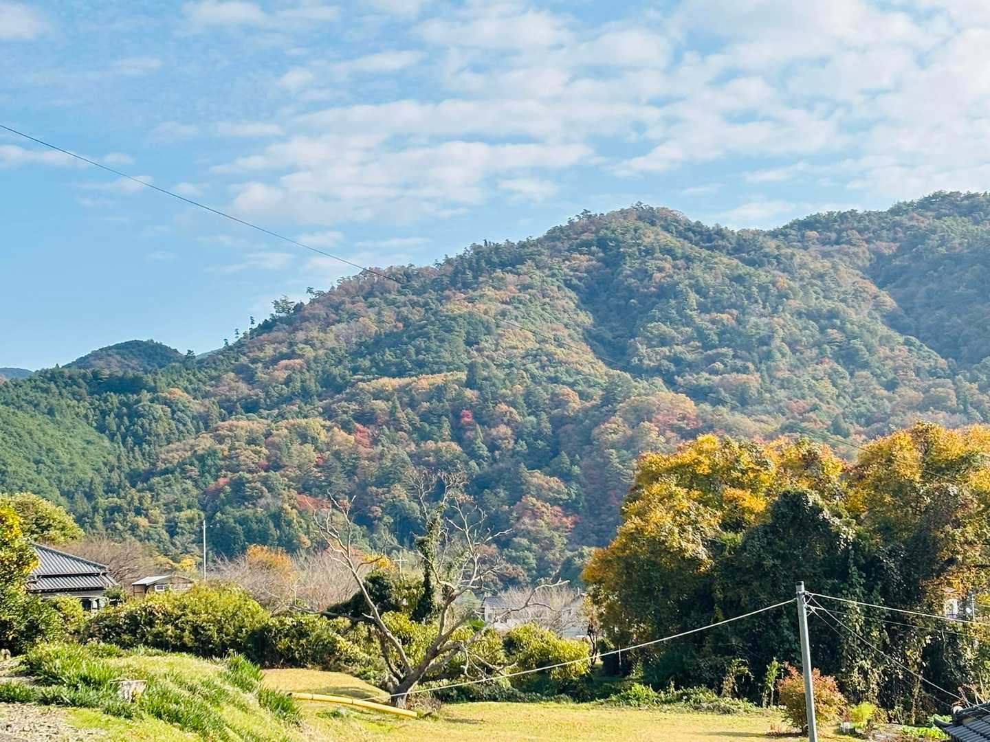 奥の山が紅葉していてカラフル🔴🟡