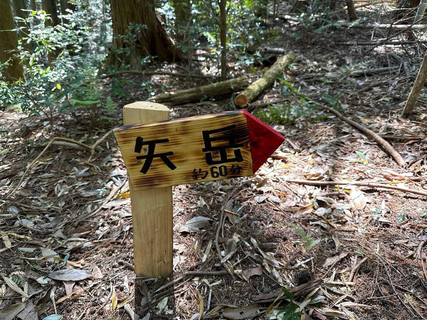 矢岳 往復コースの写真
