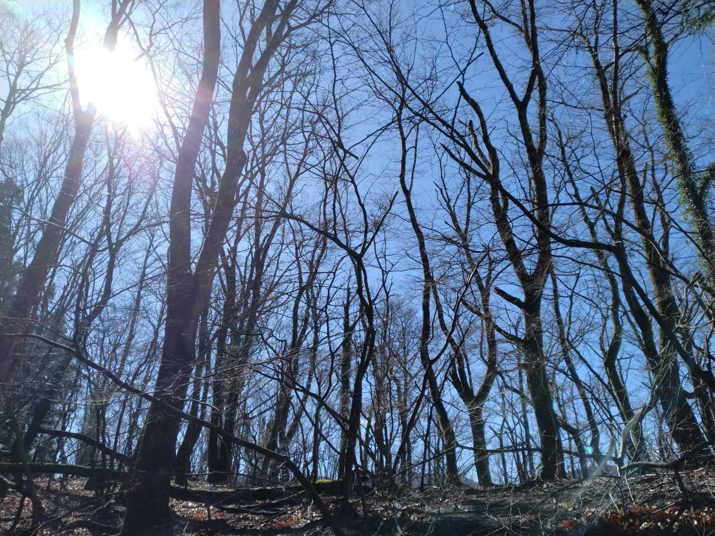 はー😍久しぶりの青空。