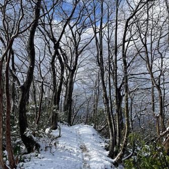 短いけど好きな道