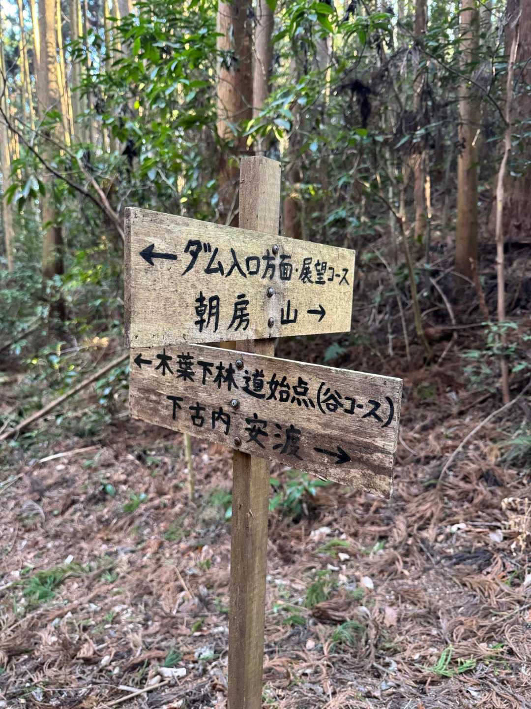 コース沢山