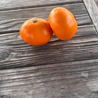 山頂にいた女の人に貰った🍊
ほんとたまたまイケメンに生まれたばかりにこんな所でも女性から親切にしてもらえて嬉しい🍊