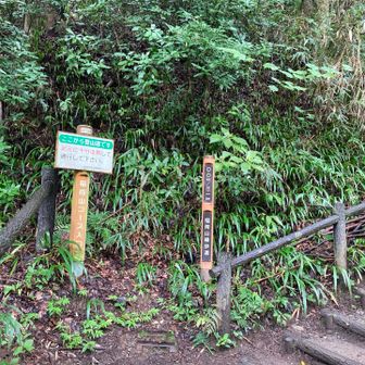 稲荷山コース久しぶり
