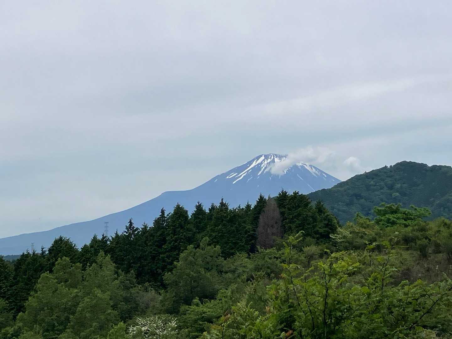 富士箱根トレイル（明神峠〜不老山〜駿河小山駅）の写真