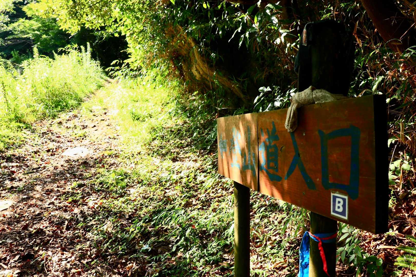 さて…。八面山（北峰）を目指しますが…。ワタシに与えられた時間はたったの二時間…。