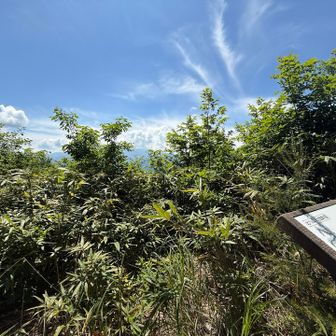 いまは・・・😨

意気消沈 
   
　　　山頂に戻る

下って 登る足が 辛い（т-т）