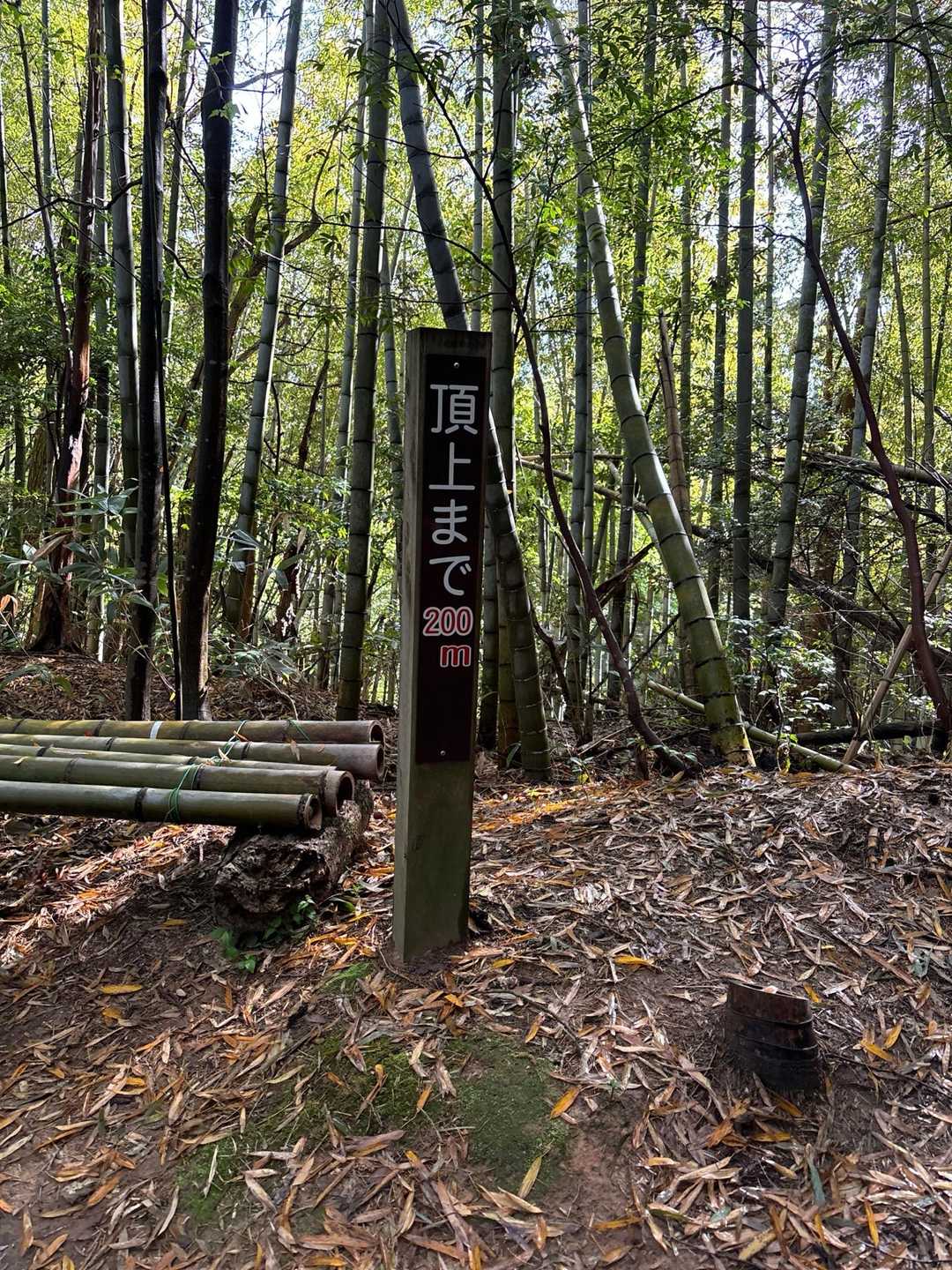 若須谷バス停-熊野城跡登山口-要害山 往復コースの写真
