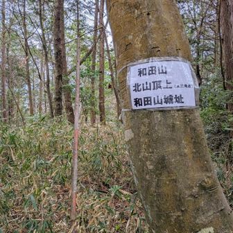 ④和田山（北山）山頂・和田山城址　に登頂です🙌ヽ(=´▽`=)ﾉ