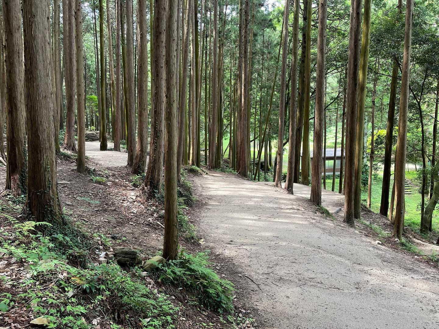 綺麗に整備されたキャンプ場です⛺️