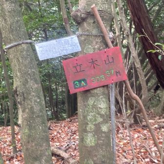 立木山山頂到着🙌。