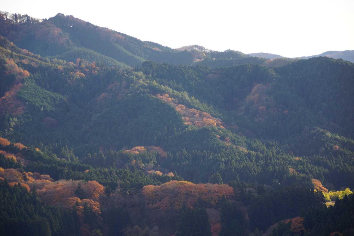 内松登山口-関山 往復コースの写真