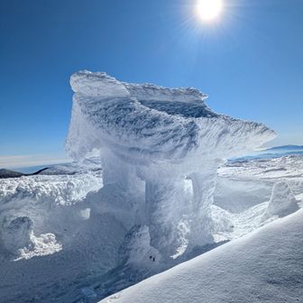 青空に映える真っ白な社👍