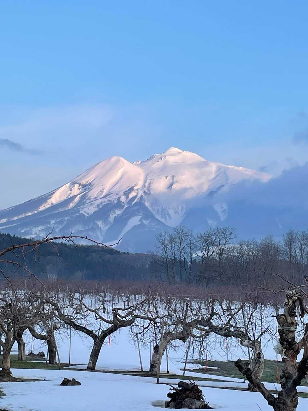 岩木山 2024-03-25 / chelseaの登山データ | YAMAP / ヤマップ