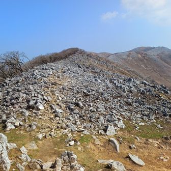 最高点まで先は長い。