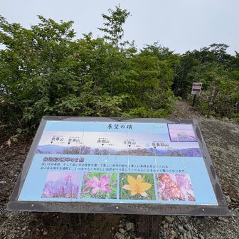 何も見えましてん