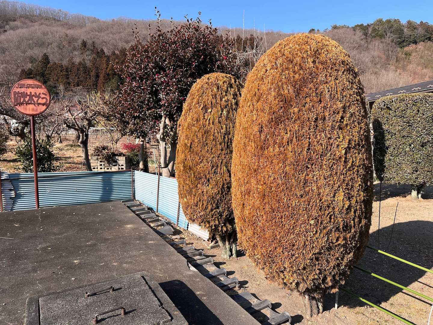 野上駅-長瀞アルプス登山口-野上峠-小鳥峠-ナラ沢峠-宝登 縦走コースの写真