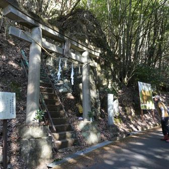 鳥居の奥に階段と鎖場があります
ここが登山口❓
かなり急で危なそうなのでやめとこう😅