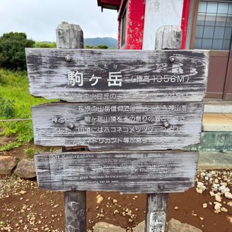 結構標高が高いですね